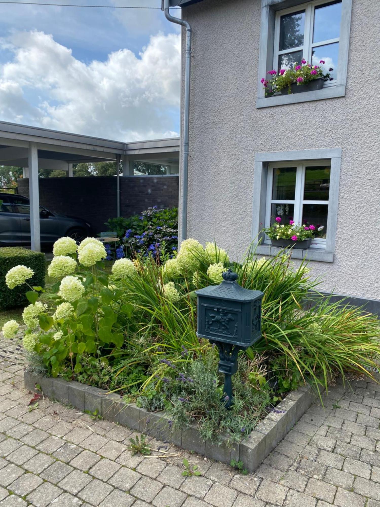Les Sansonnets Hotel Vaux-sur-Sure Exterior photo